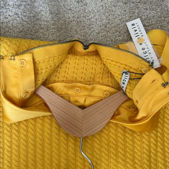 Alice and Olivia Abbott with collar - Picture 9 of 15